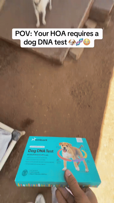 Creator dog DNA test video
